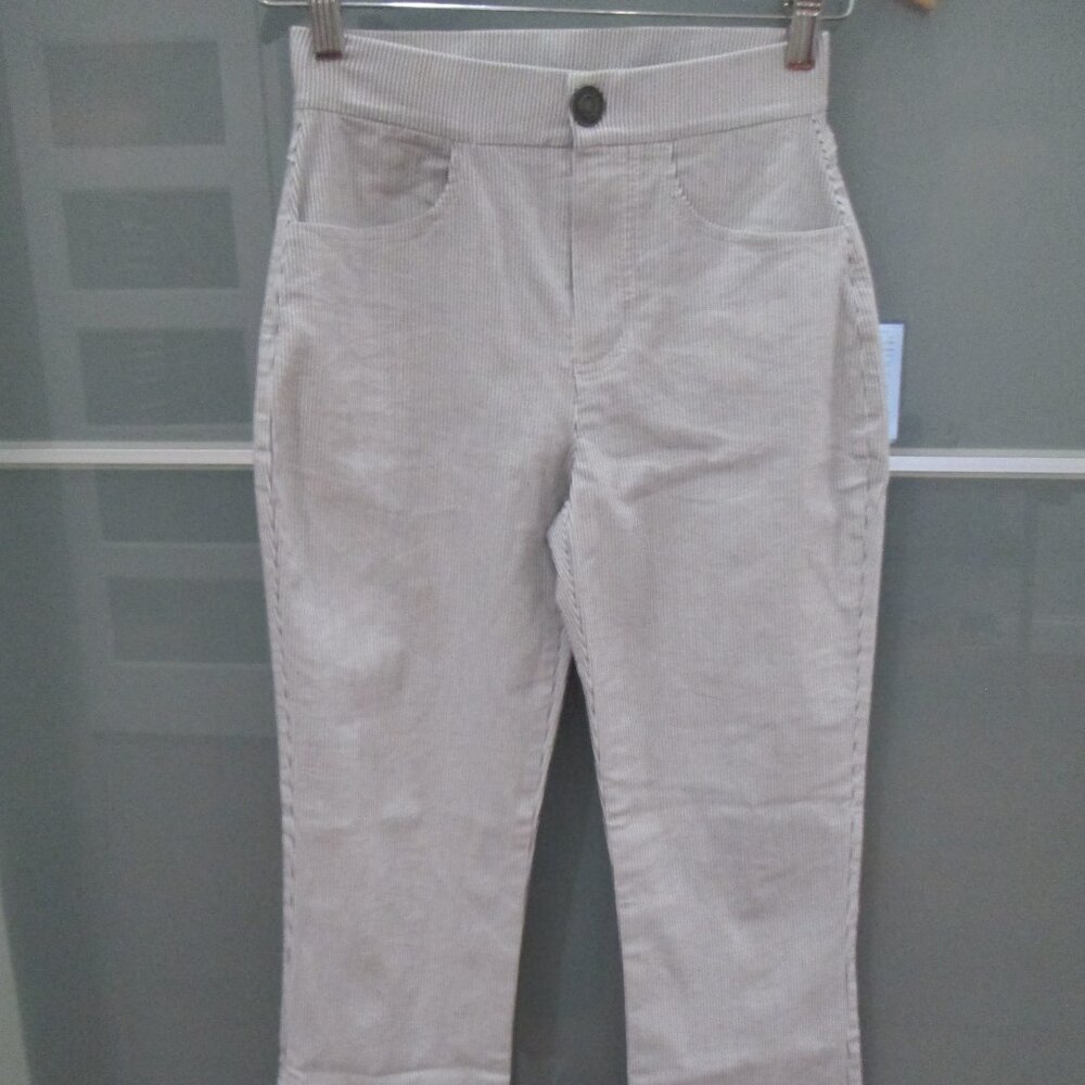 Free People Skinny Leg Striped Pants